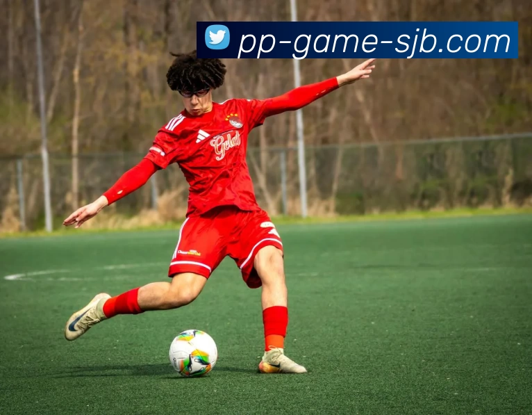 PP游戏，PP游戏，PP游戏官网，PP游戏平台，PP游戏APPAPP 封面图